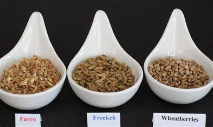 freekeh vs farro