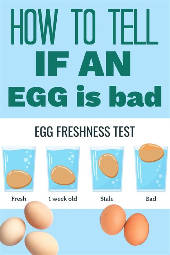 fresh egg meaning