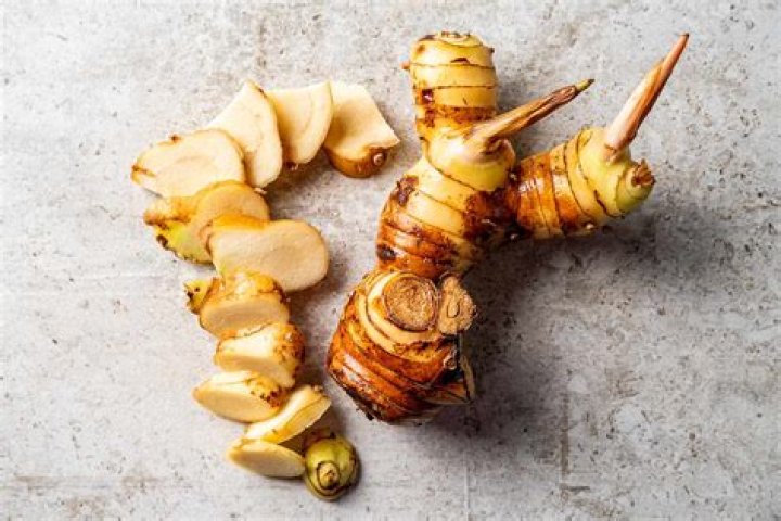 galangal indian name