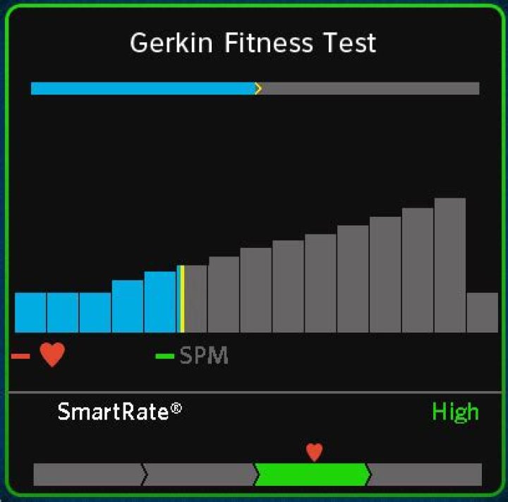 gerkin fitness test