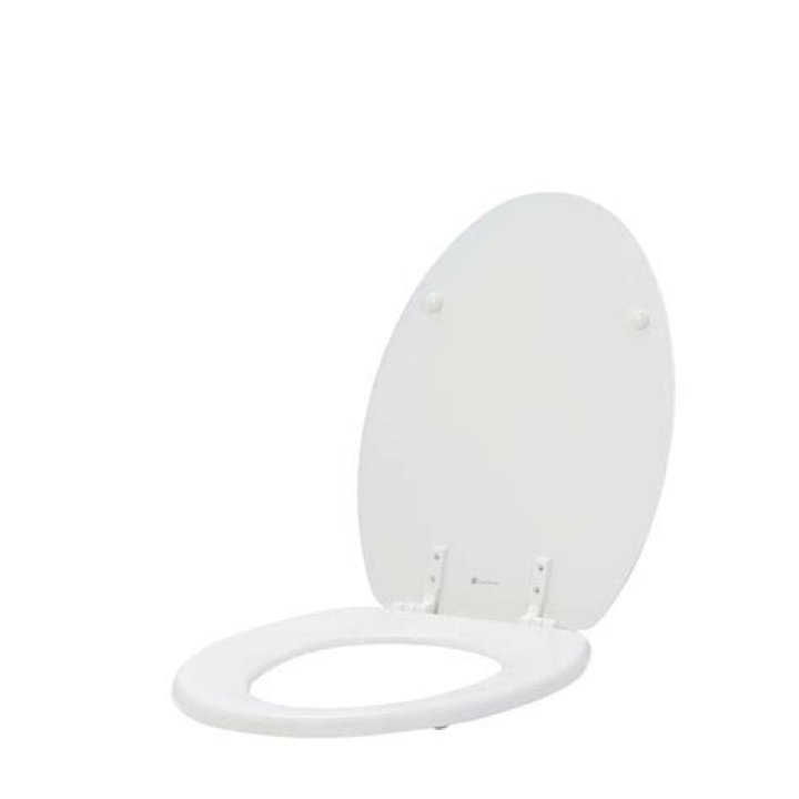glacier bay toilet seats