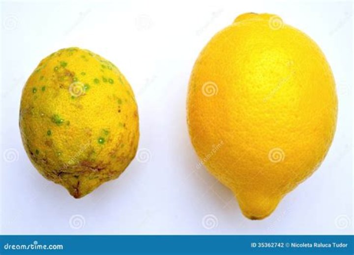 gmo lemons