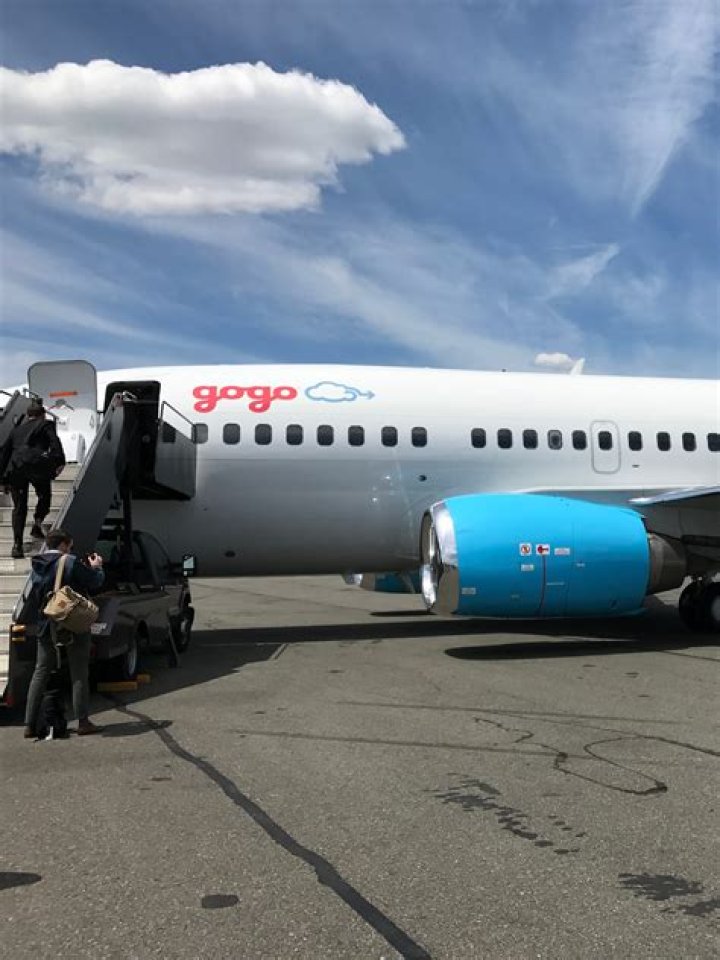 gogo inflight video