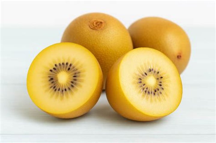 golden kiwi season