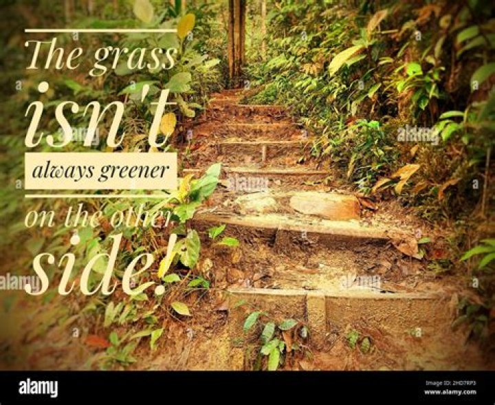 grass isnt always greener