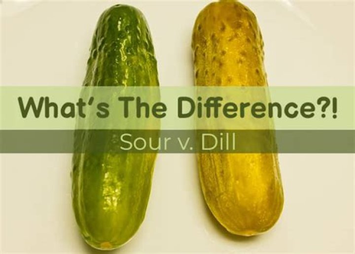 half sour vs full sour pickles