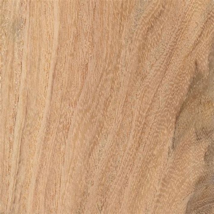 honey locust wood