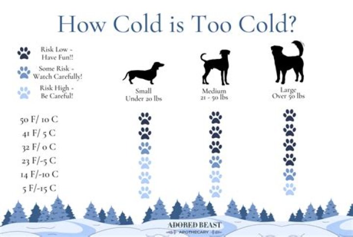 how cold is too cold for squirrels