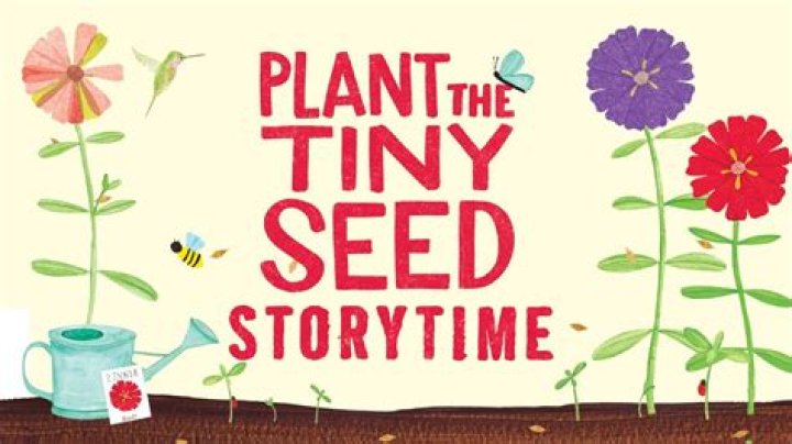 how does a big plant grow from a tiny seed