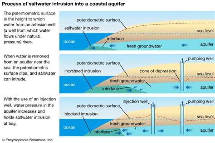 how does salinity affect the density of water