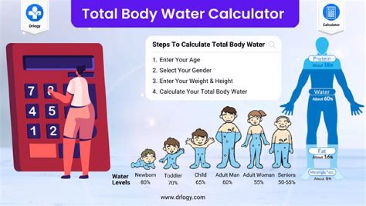 How fast can your body absorb water?