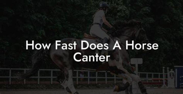 how fast is a canter