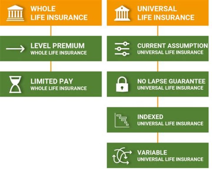 how is a life insurance policy dividend legally defined