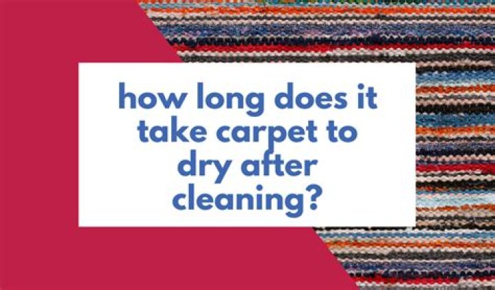 how long do carpets take to dry rug doctor