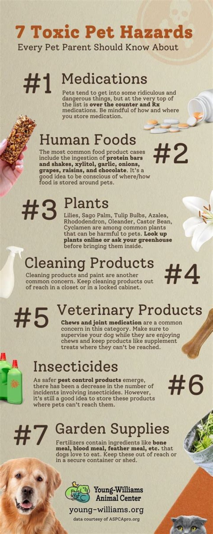 how long is wasp spray toxic to dogs
