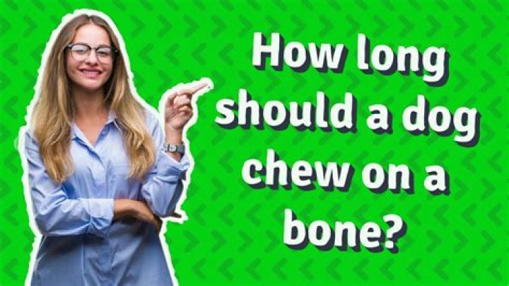 how long should a dog chew on a bone