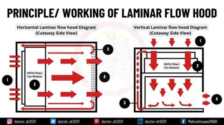 how long should a laminar flow hood be turned on