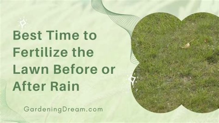 how long should fertilizer be down before it rains