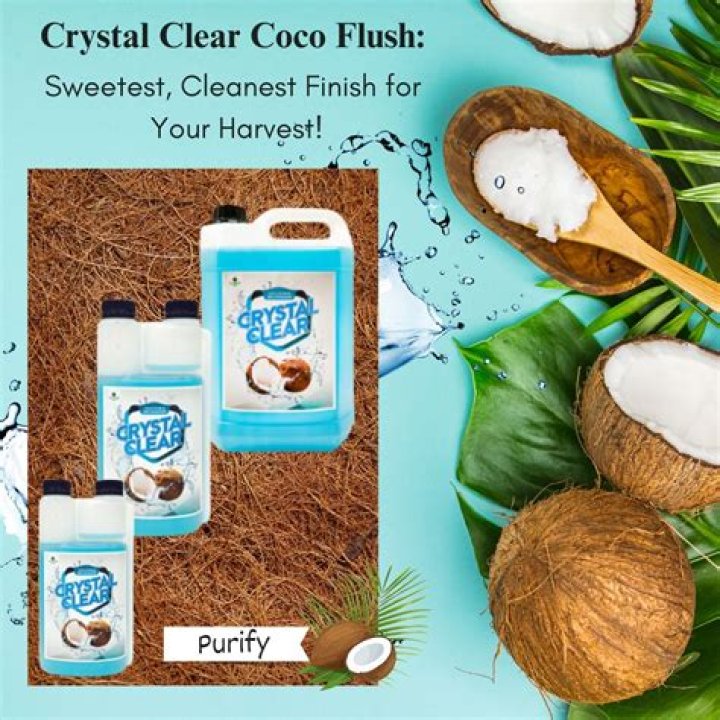 how long to flush in coco