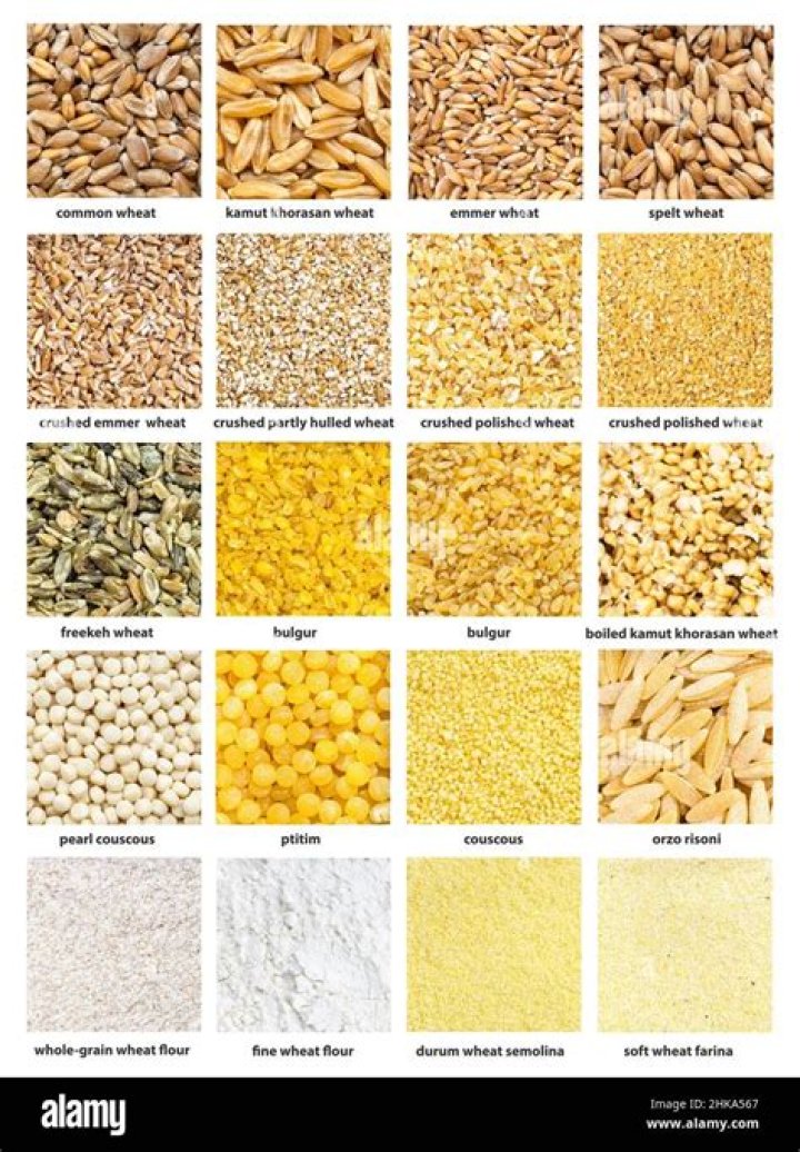 how many types of grains are there