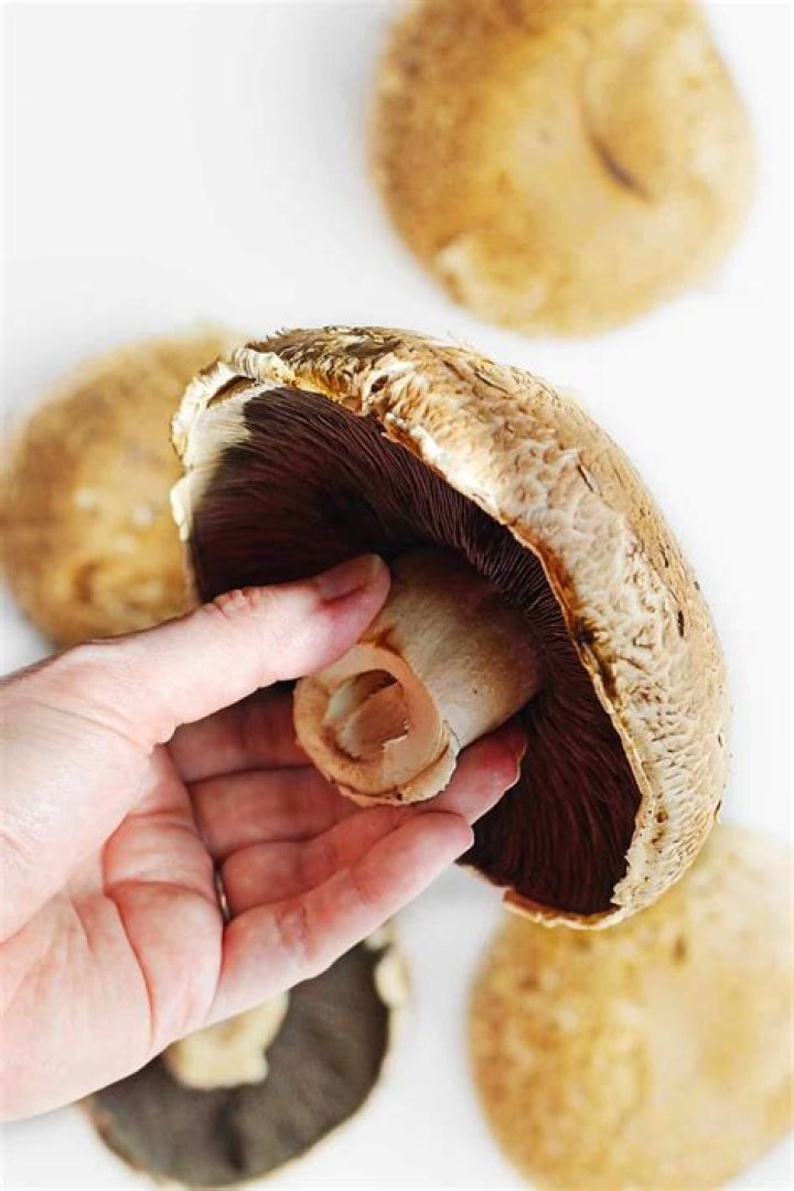 how much does a portobello mushroom cap weigh