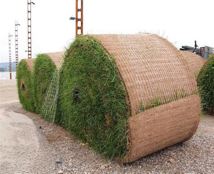 how much does a roll of sod weigh