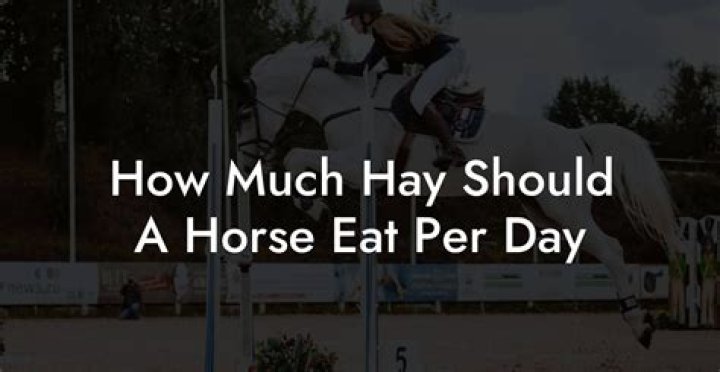 how much hay does a horse eat per month
