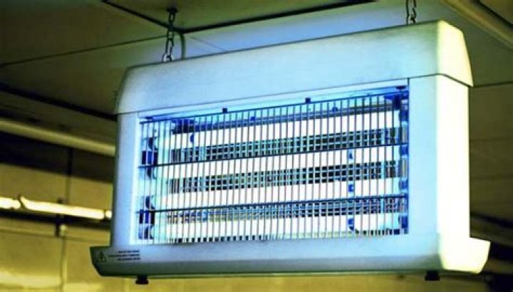 how to clean a bug zapper