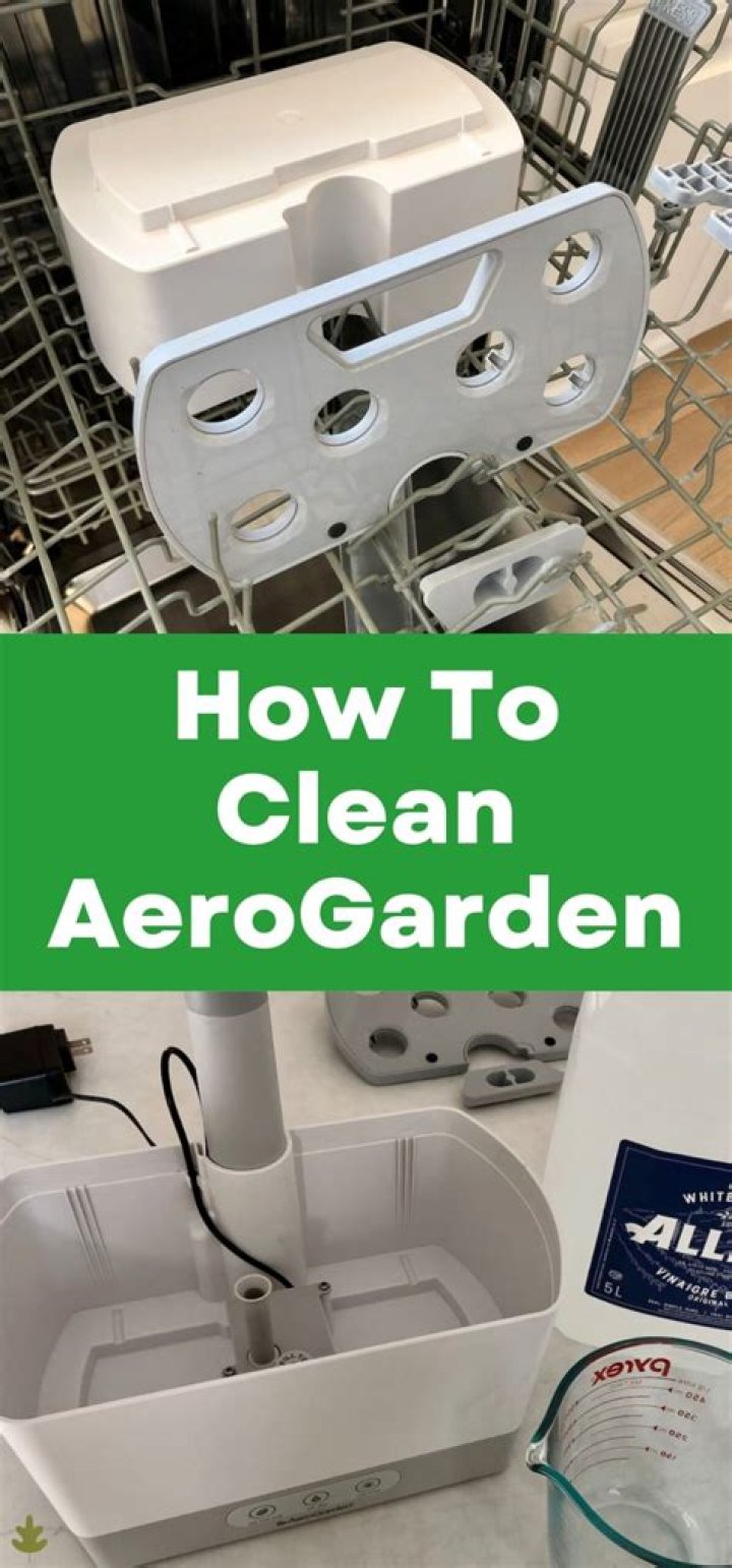 how to clean aerogarden