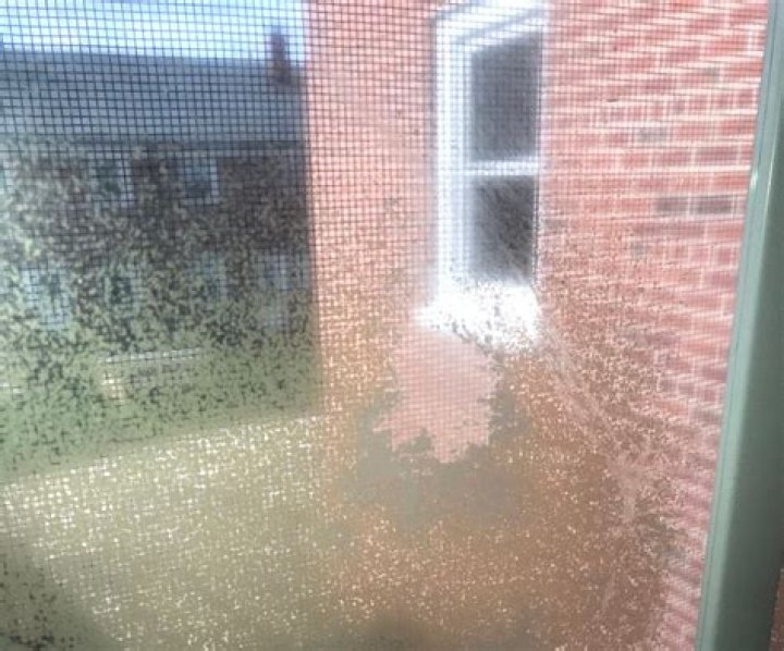 how to clean sun damaged windows