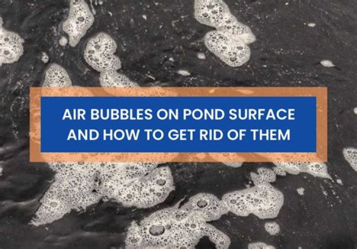 how to get rid of bubbles in fish tank