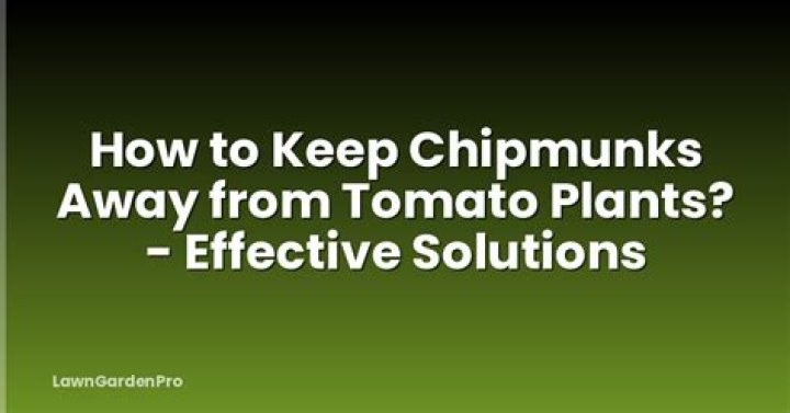 how to keep chipmunks away from tomato plants