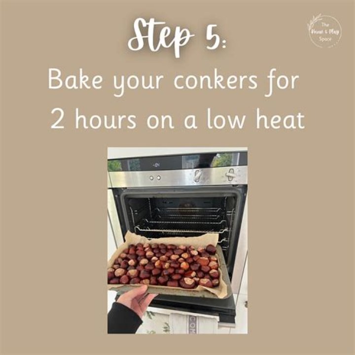 how to keep conkers shiny