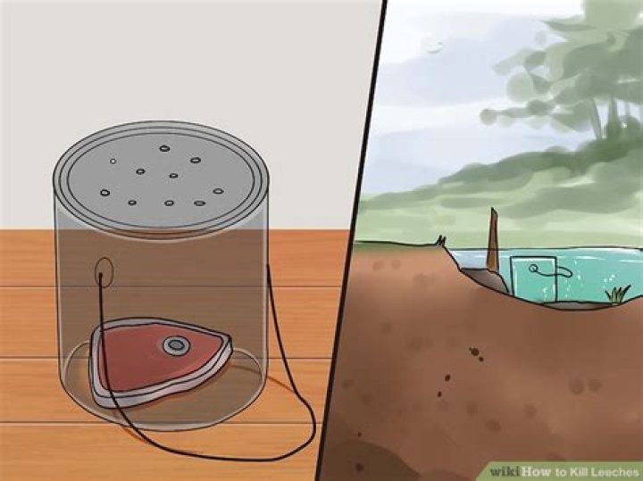 how to kill leeches