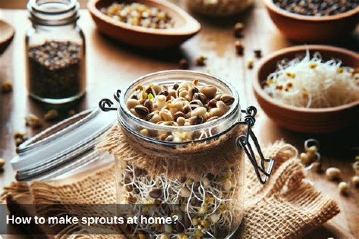 how to make sprouts overnight