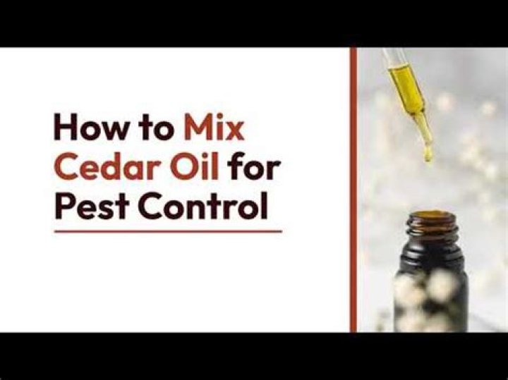 how to mix cedar oil for pest control