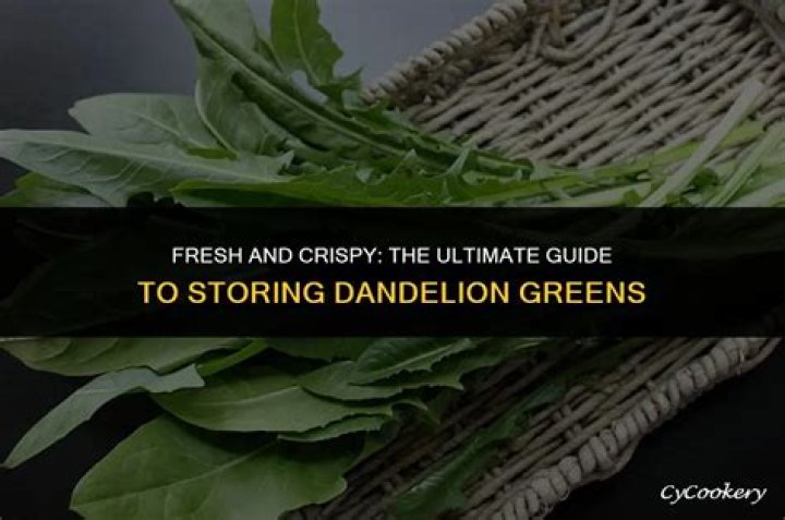how to store dandelion greens