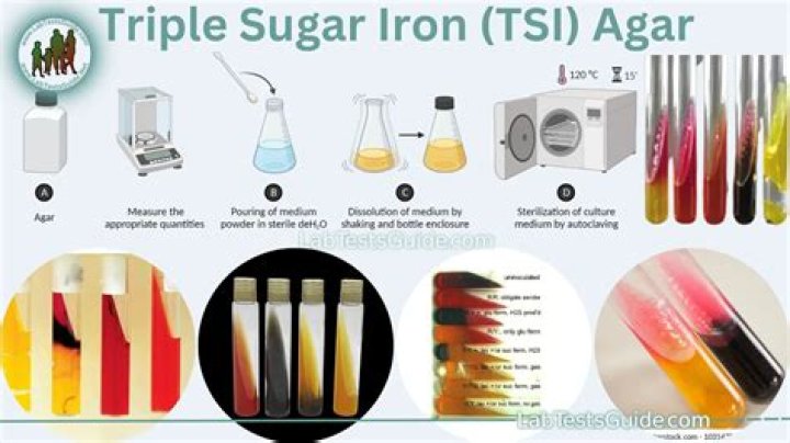 how would you prepare a tsi slant