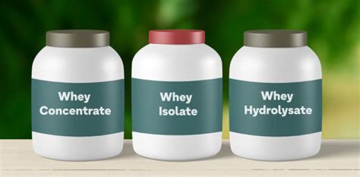 hydrolysate vs hydrolyzed