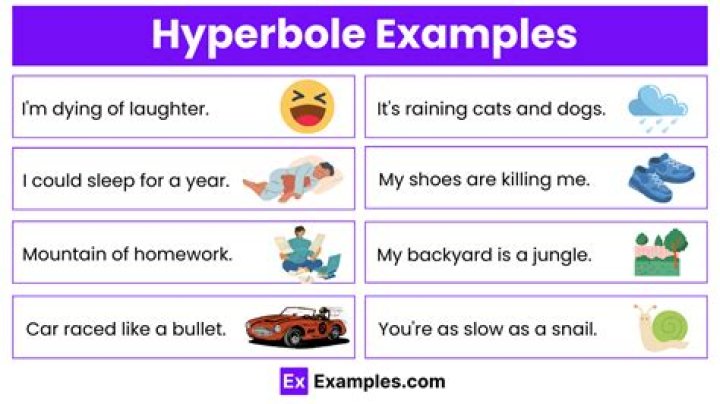hyperbole examples sentences