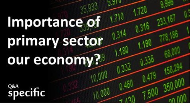 importance of primary sector