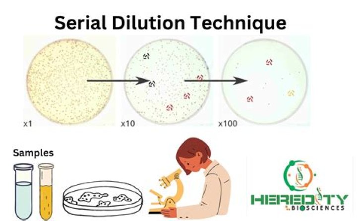 importance of serial dilution