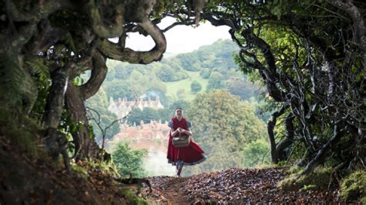 into the woods theme