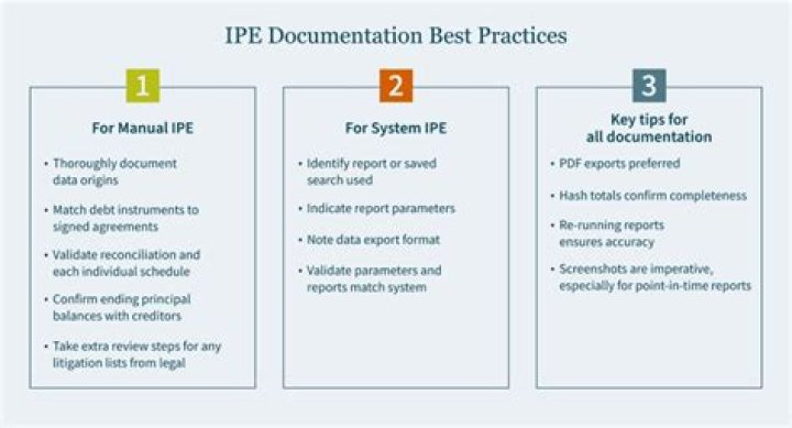 ipe in audit