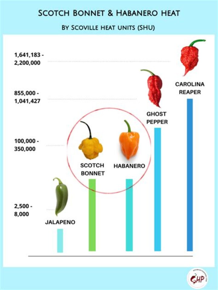 is a ghost pepper hotter than a habanero
