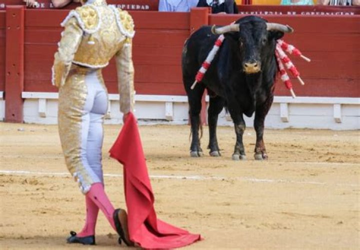 is bullfighting still legal