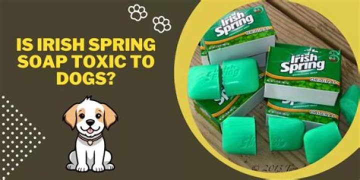 is irish spring soap toxic
