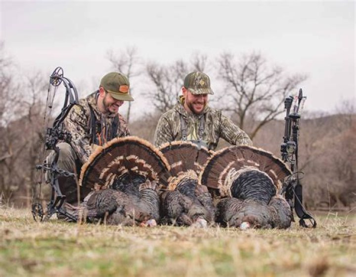 is it illegal to kill turkey vultures