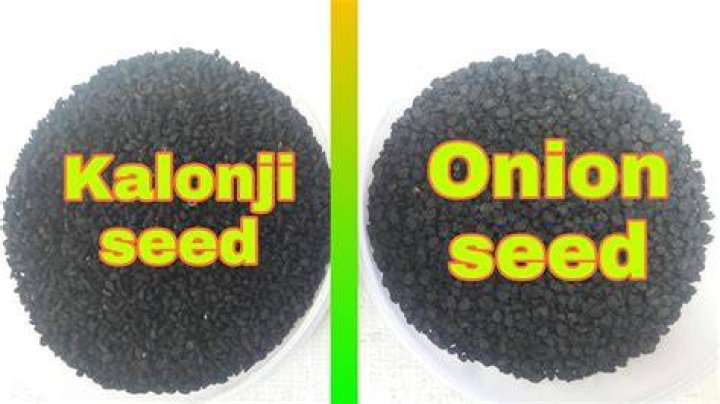 is kalonji onion seed