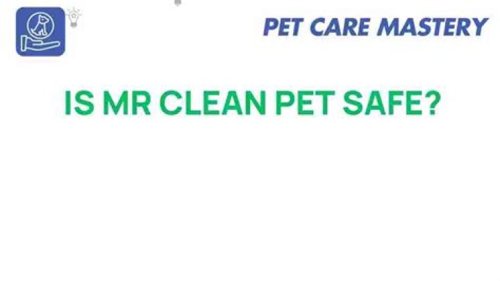 is mr clean safe for pets